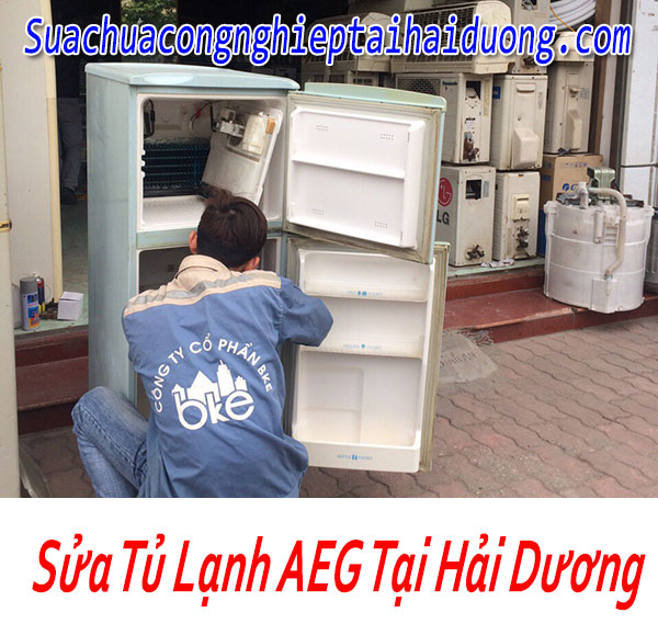 Dịch Vụ Bảo Dưỡng Sửa Tủ Lạnh AEG Tại Hải Dương Giá Rẻ