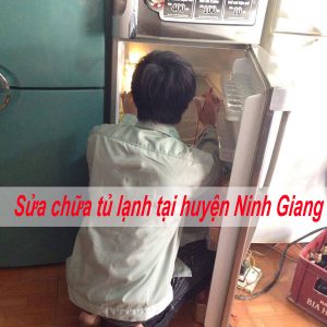 Sửa Chữa Tủ Lạnh Tại Huyện Ninh Giang